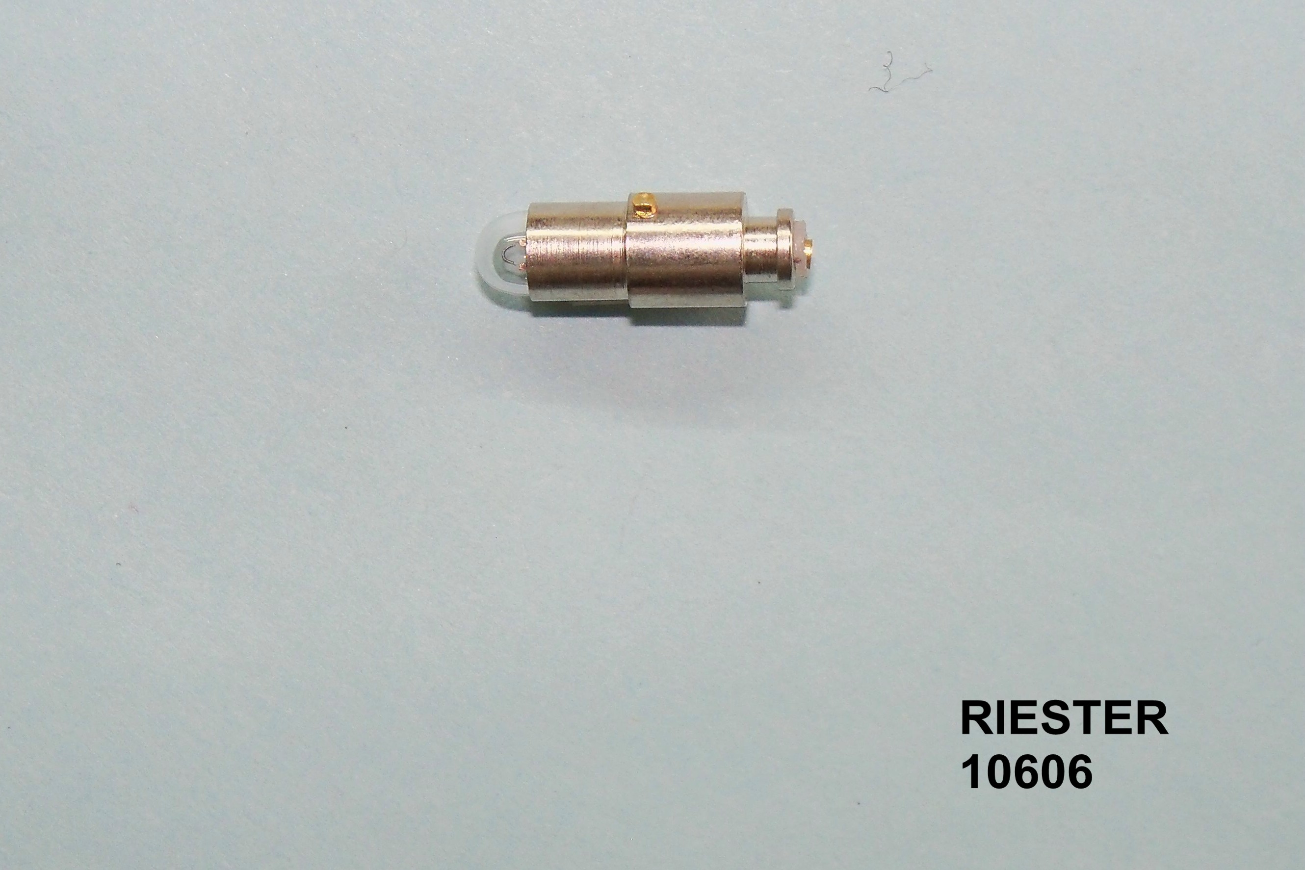 RST10606.jpg