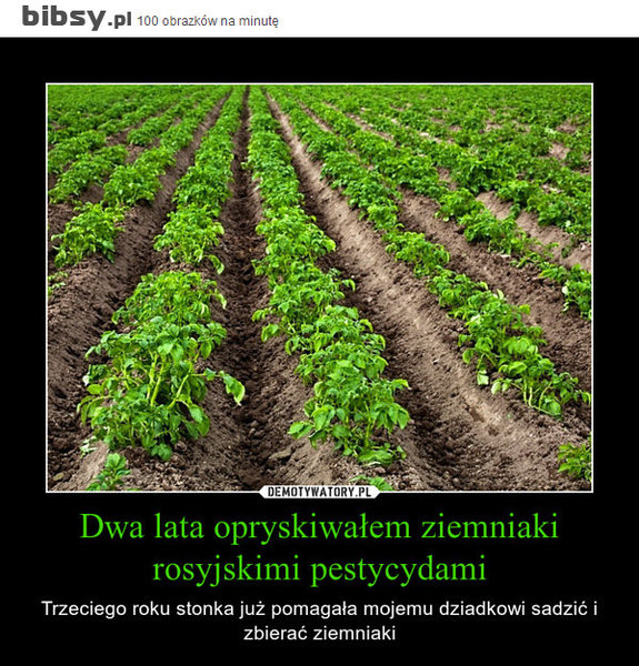 dwa-lata-opryskiwalem-ziemniaki-rosyjskimi-pestycydami-trzeciego-roku-stonka-juz-pomagala-mojemu-dziadkowi-sadzic-i-zbierac-ziemniaki.jpeg